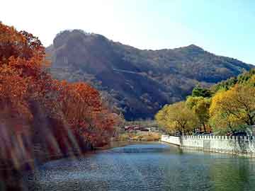 正新澳门二四六天天彩，丰田发动机